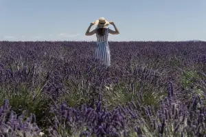 Poznávací Zájezd Provence Letecky